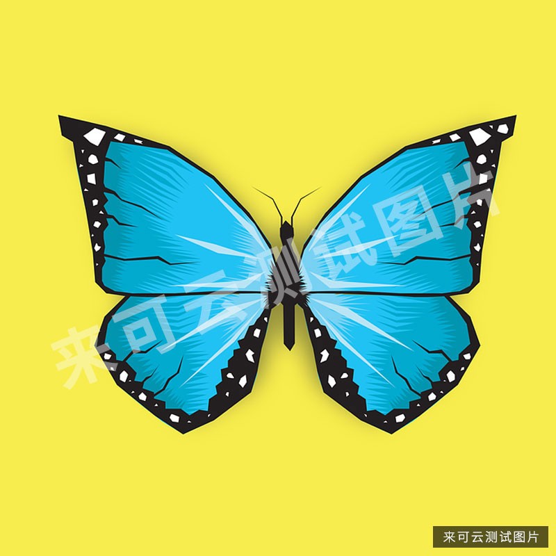 来可云测试